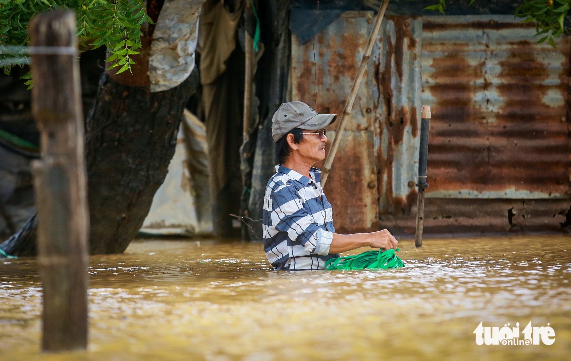 山羊和牛被冲入河流海洋，潘朗洪水中的泪水